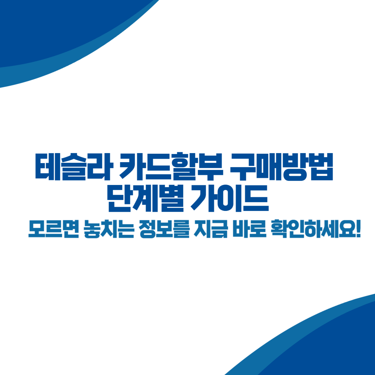 테슬라 카드할부 구매방법 단계별 가이드