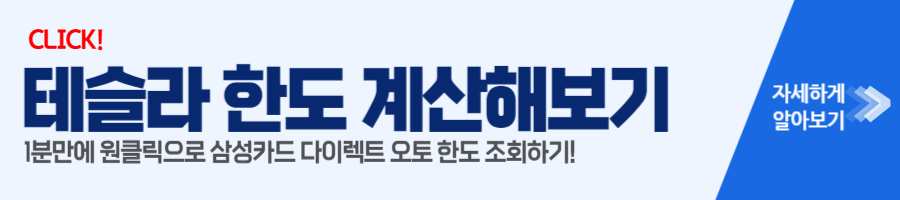 테슬라 한도 비교